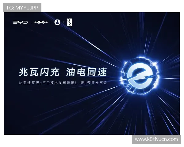 k8凯发 一触即发：详细解析平台安全保障措施确保玩家资金与信息安全的全面策略